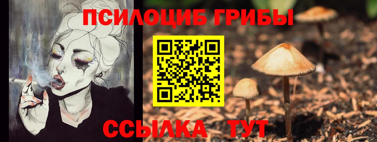 Псилоцибиновые грибы Magic Shrooms Зима