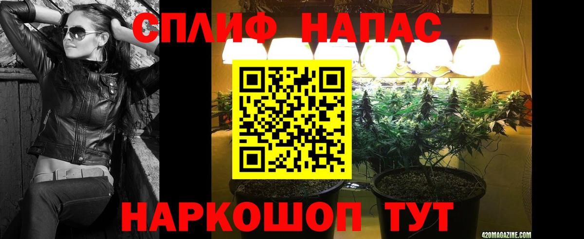 Каннабис сатива  Каннабис OG Kush  Зима  Шишки марихуана гибрид  Вход с VPN 